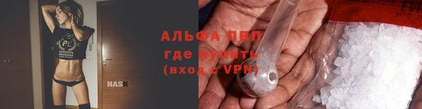 твердый Абаза